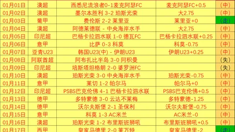 四川省体育运动学校主体建筑竣工在即，年底盛典即将盛大举行。